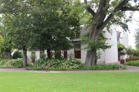 110 Weingut Blaauwklippen