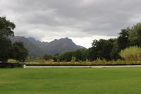 111 Weingut Blaauwklippen