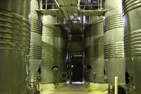 117 Weingut Blaauwklippen