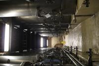 119 Weingut Blaauwklippen