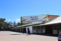132 Aloe-Fabrik in Albertinia