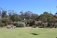 133 Aloe-Fabrik in Albertinia