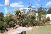 133 Aloe-Fabrik in Albertinia