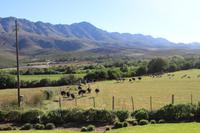 145 Swartberg Lodge