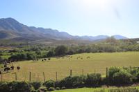 146 Swartberg Lodge