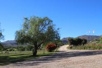 149 Anfahrt zur Swartberg Lodge