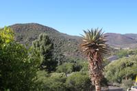151 Ausblick von den Cango Caves