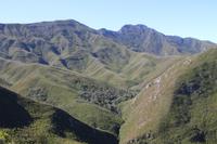186 Outeniqua-Pass
