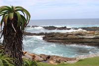 202 Tsitsikamma Nationalpark