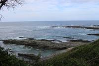 204 Tsitsikamma Nationalpark