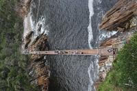 207 Tsitsikamma Nationalpark