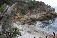 223 Tsitsikamma Nationalpark