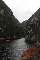 225 Tsitsikamma Nationalpark