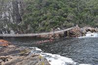 229 Tsitsikamma Nationalpark