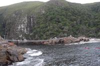 230 Tsitsikamma Nationalpark