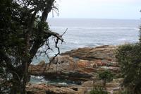 231 Tsitsikamma Nationalpark