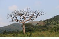 277 Safari im Hluhluwe-Umfolozi Nationalpark