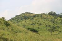 280 Safari im Hluhluwe-Umfolozi Nationalpark