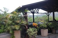 353 Mantenga Lodge in Swaziland