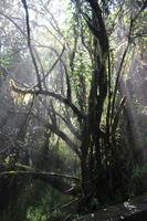 415 God’s Window - Panoramaroute