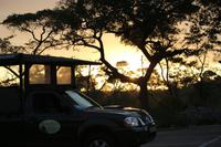 435 Safari im Krüger-Nationalpark - Sonnenaufgang