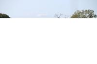 454 Safari im Krüger-Nationalpark - Elefant