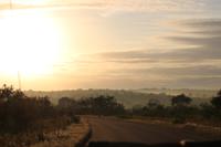 508 Safari im Krüger-Nationalpark - Sonnenaufgang