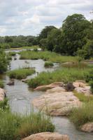 543 Safari im Krüger-Nationalpark