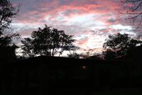 660 Sonnenuntergang in Simbabwe