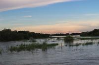 689 Sundowner-Bootsfahrt auf dem Sambesi