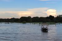 692 Sundowner-Bootsfahrt auf dem Sambesi