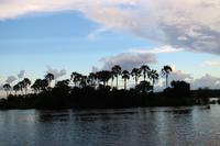 717 Sundowner-Bootsfahrt auf dem Sambesi