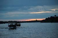 726 Sundowner-Bootsfahrt auf dem Sambesi