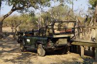 Haltestelle Jeep-Safari - Timbavati Game Reserve