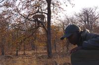 Timbavati Game Reserve - Safari