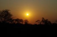 Timbavati Game Reserve - Sundowner