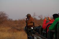 Timbavati Game Reserve - Safari