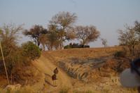 Timbavati Game Reserve - Safari
