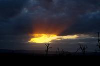 Mkhaya Game Reserve - Sundowner