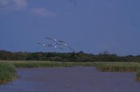 St. Lucia - Bootstour