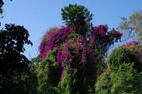 St. Lucia - ISimangaliso Nationalpark