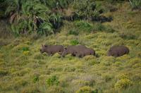 St. Lucia - ISimangaliso Nationalpark