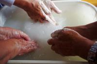 Franschhoek - Weingut Moreson