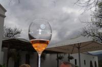 Franschhoek - Weingut Moreson - Tasting