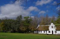 Stellenbosch - Weingut Blaauwklippen