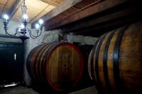 Stellenbosch - Weingut Blaauwklippen - Kellertour