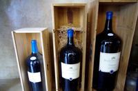 Stellenbosch - Weingut Blaauwklippen - Kellertour