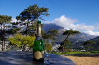 Kapstadt - Sektempfang auf dem Signal Hill