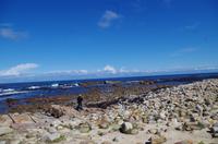 Am Kap der Guten Hoffnung