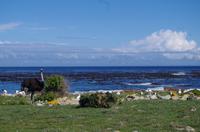 Nationalpark Kap-Halbinsel